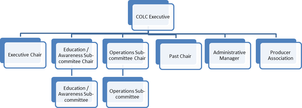 Executive Committe Structure
